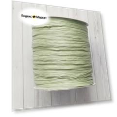 Пряжа Раффия Ispie фисташковый (Pistachio), Китай, 120 г
