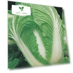 Капуста пекинская Кудесница  F1   0,3 гр цв.п.