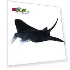 Скат Манта (M), Collecta