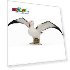 Коллекционная фигурка Collecta Странствующий альбатрос, L