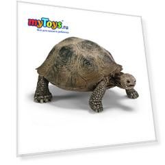 Schleich Гигантская черепаха. Серия "Дикие животные"
