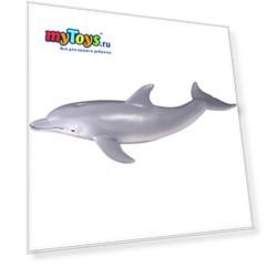 Коллекционная фигурка Collecta Дельфин, M