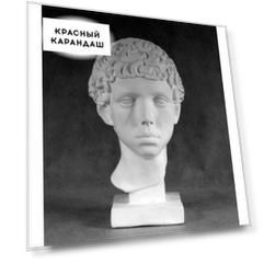 Гипсовая голова мальчика Ливийца для академического рисунка