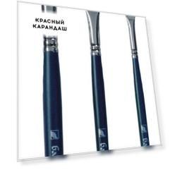 Кисть щетина веерная Альбатрос "Байкал" длинная ручка синяя