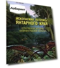 Ископаемая летопись Янтарного края. Естественная история Калининградской области
