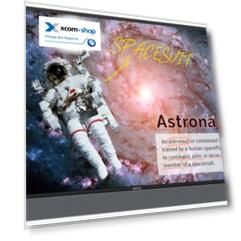 Интерактивная панель BenQ RM5502K