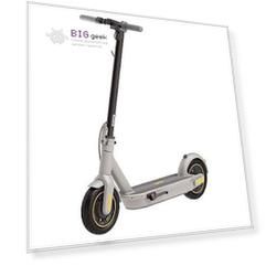 Электросамокат Xiaomi Ninebot Kickscooter Max G30LP (CN)