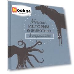 Милые истории о животных в картинках