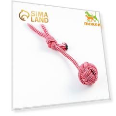 Игрушка-дразнилка для собак с шариком из каната, до 85 г, до 38 см, красная/белая