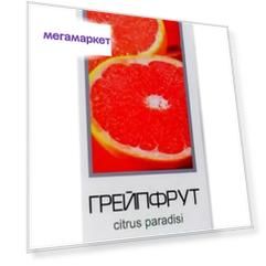 Масло эфирное СиНаМ ТД СиНаМ Грейпфрут 10 мл