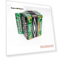 S6XL-A-GR Гармонь "Чайка 204" 25х25-II, зеленая, Шуйская гармонь