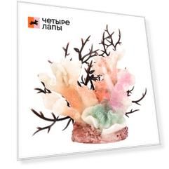 AquaFantasy Коралл композиция цветная 8,5*6*8см