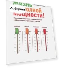 Жизнь на полной мощности. Управление энергией - ключ к высокой эффективности, здоровью и счастью
