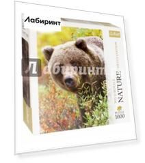 Puzzle-1000 "Медведь Гризли. Аляска, США" (10518)