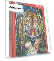 Puzzle-1000 "БОЛЬШОЙ ТИГР" (Х1000-6800)
