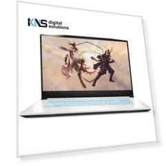 MSI Sword 17 A12UD-248XRU