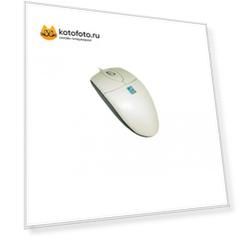 Мышь A4Tech OP-720 White USB