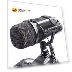 Микрофон GreenBean GB-VM03 (стерео) Микрофон GreenBean GB-VM03 (стерео)