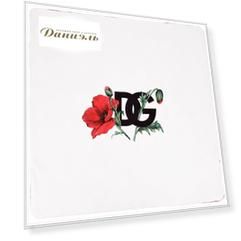 Одеяло Dolce & Gabbana