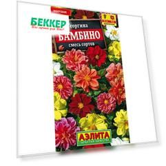 Георгина махровая Бамбино, смесь окрасок Аэлита