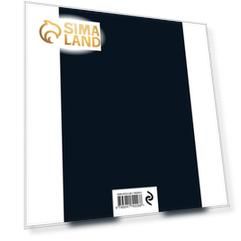 Nevermore Academy. Secret notebook