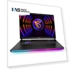 MSI Raider GE78 HX 13VH-214RU