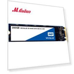 WD 250GB Blue (WDS250G2B0B)