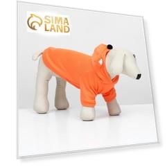 Кофта с капюшоном "Лисенок",  размер XL (ДС 34, ОШ 38, ОШ 48 см), оранжевая