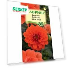 Георгина Фигаро красная Гавриш