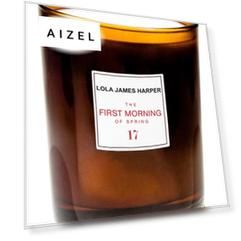 Ароматическая свеча The FIRST MORNING of Paris #17, 190 g