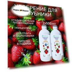 Комплекс HealthLife Удобрение для клубники А+В стадия Цветение Плодоношение(2 по 500 мл) концентрат для гидропоники и грунта увеличивает урожайность
