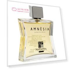 Amnesia