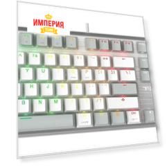 Клавиатура A4Tech Fstyler FS100 Neon серый/белый USB