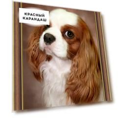 Набор Картина стразами "Милый взгляд"
