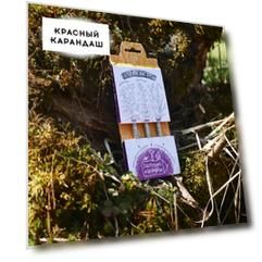 Набор растущих карандашей "Альпийские луга" чернографитные, 3 шт.