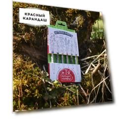 Набор растущих карандашей "Восточные пряности" цветные, 6 шт.
