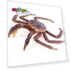 Фигурка Collecta "Камчатский краб", XL