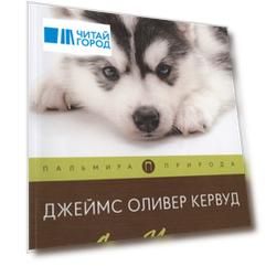 Сын Казана