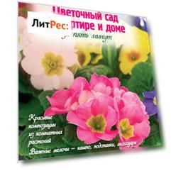 Цветочный сад в квартире и доме за пять минут