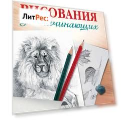 Простые уроки рисования для начинающих