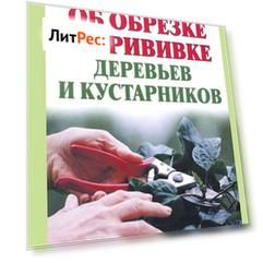 Всё об обрезке и прививке деревьев и кустарников