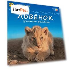 Львёнок учится рычать