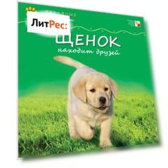 Щенок находит друзей