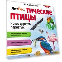Экзотические птицы. Яркое царство пернатых