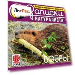 Рассказы классиков о животных. Бобры