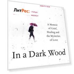 In a Dark Wood: What Dante Taught Me About Grief, Healing, and the Mysteries of Love