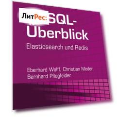 NoSQL-?berblick - Elasticsearch und Redis
