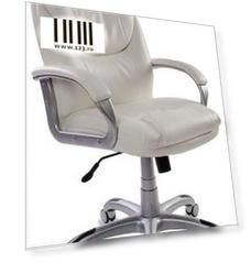Кресло руководителя Бюрократ T-9905S/WHITE белый искусственная кожа (пластик серебро)