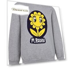 Свитшот MINI RODINI