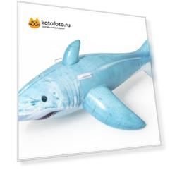 Надувная игрушка BestWay Реалистичная акула 41405 BW